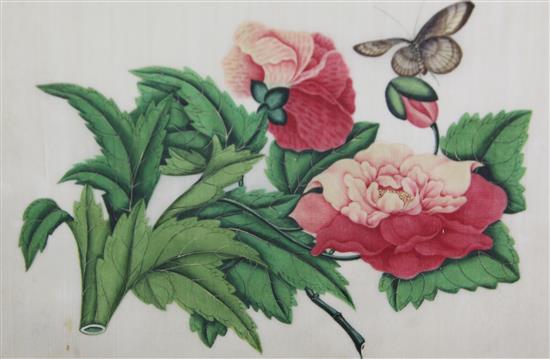 A set of four 19th century Chinese pith paper paintings of flowers, 10 x 7in. (5)